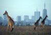 It’s Mainly Watches, Whisky and Patriotism for Kenya’s Rich