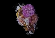 The Shade-Shifting Power of Color-Change Gems