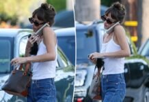 Dakota Johnson paired a Celine handbag with this $88 tank top