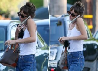 Dakota Johnson paired a Celine handbag with this $88 tank top