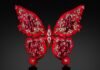 ‘Rubies’ Goes on Display at Harvard Museum