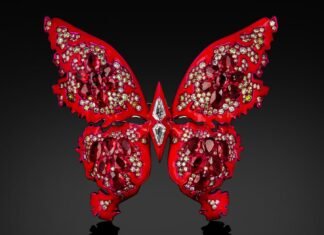 ‘Rubies’ Goes on Display at Harvard Museum