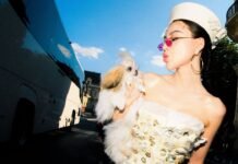 A Dog’s Life: Meet the Lap Dog Who Took in the Fall 2026 Couture Shows from the Front Row