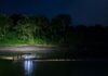 Son watches in horror as crocodile drags father into Sabah river