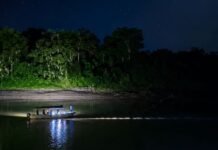 Son watches in horror as crocodile drags father into Sabah river