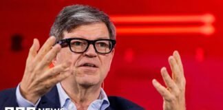 Artificial intelligence: Yann LeCun works on more flexible AI