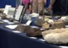 Tulsa Rock and Mineral Society holds annual Rock, Gem, Mineral and Jewelry Show