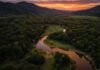 Brazil Has Officially Won The Travel Game Because This Bespoke Wilderness Expeditions Trend In The Pantanal Changes Everything, Here’s All You Need To Know About