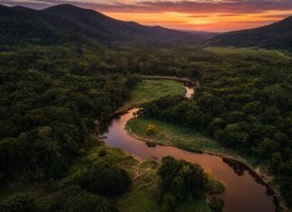 Brazil Has Officially Won The Travel Game Because This Bespoke Wilderness Expeditions Trend In The Pantanal Changes Everything, Here’s All You Need To Know About