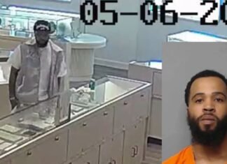 Florida investigators track suspect to New York in $20,000 jewelry theft