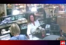Crime Stoppers: Police searching for Madison jewelry thief, two other wanted suspects
