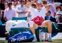 Hewitt reveals next move after Wimbledon agony – News