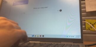 College of Charleston embraces AI in the classroom, teaching students to use it responsibly