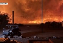 ‘Wall of fire’: Farmer watches Arizona wildfire consume Colorado River bridge