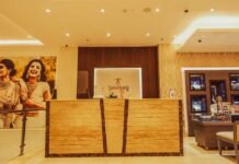 Titan Sales Rise Amid Holiday Demand
