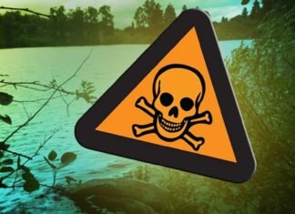 5 Kansas lakes added, 2 removed from KDHE toxic algae watches and warnings