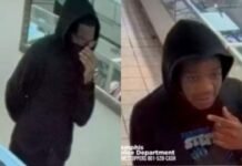 Duo on the run after $80k jewelry robbery, assault