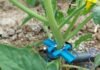 Bespoke technologies are driving water savings