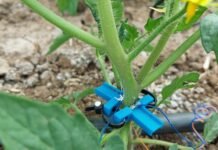Bespoke technologies are driving water savings