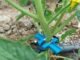 Bespoke technologies are driving water savings