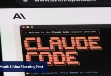 Beyond Claude Code: the Chinese AI tools poised to benefit after back-door alert