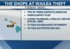2 arrested for alleged luxury handbag thefts on Maui