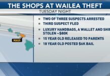 2 arrested for alleged luxury handbag thefts on Maui