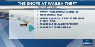 2 arrested for alleged luxury handbag thefts on Maui