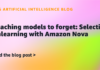 Teaching models to forget: Selective unlearning with Amazon Nova