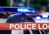Sandy Police Log: Dog extortion, jewelry thief