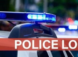 Sandy Police Log: Dog extortion, jewelry thief