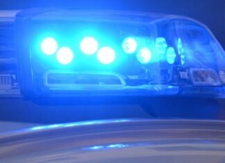 Maui police arrest two individuals for alleged theft of luxury items in Wailea valued at over $80K