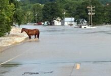 Watch: Drone reveals devastating flash flooding sweeping through southeastern Missouri with more rain to come