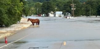 Watch: Drone reveals devastating flash flooding sweeping through southeastern Missouri with more rain to come