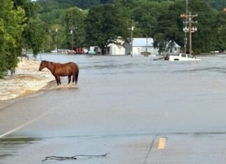 Watch: Drone reveals devastating flash flooding sweeping through southeastern Missouri with more rain to come