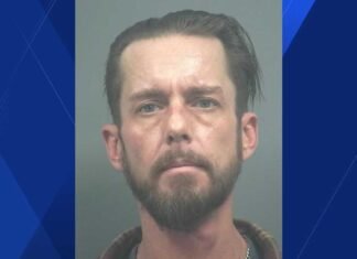 Cape Coral man accused of stealing jewelry, cash, wig from North Fort Myers business