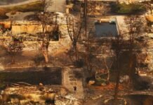 AI eyes in the sky: new satellites and artificial intelligence are transforming wildfire detection