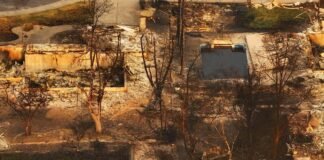 AI eyes in the sky: new satellites and artificial intelligence are transforming wildfire detection