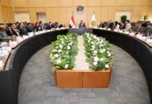 Egypt targets full vehicle manufacturing by localizing car bodies, boosting domestic content: Minister – Markets & Companies