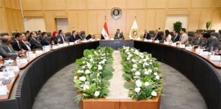 Egypt targets full vehicle manufacturing by localizing car bodies, boosting domestic content: Minister – Markets & Companies