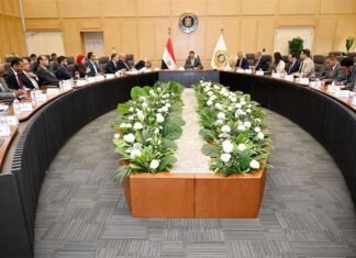 Egypt targets full vehicle manufacturing by localizing car bodies, boosting domestic content: Minister – Markets & Companies