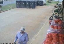Dawson police search for suspect in pawn shop jewelry theft