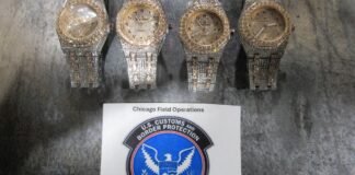 CBP intercepts package at Port of Louisville containing $43M in counterfeit watches