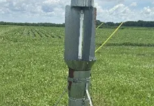 Artificial intelligence may aid in insect monitoring