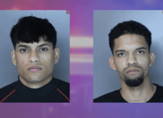 Undocumented migrants arrested after armed robbery of Dauphin County jewelry store: police