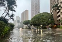 Honolulu enters full cleanup and recovery mode as Tropical Storm Lala departs