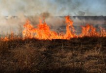 Fire Weather Watches issued for parts of Montana and Wyoming