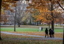University To Integrate Artificial Intelligence Into Curriculum Starting in 2027