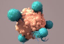 Allogeneic CAR T Company Prepares to Widen Access to Patients