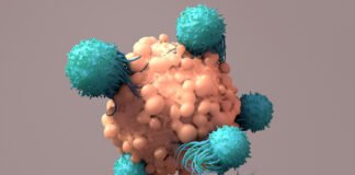 Allogeneic CAR T Company Prepares to Widen Access to Patients